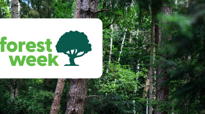 Asset Forest Week Core Campaign Post 6 Visual Fscfw25 (2)
